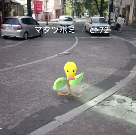 ポケモンgo 熊本