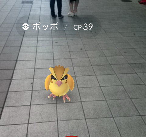 ポケモンgo 熊本