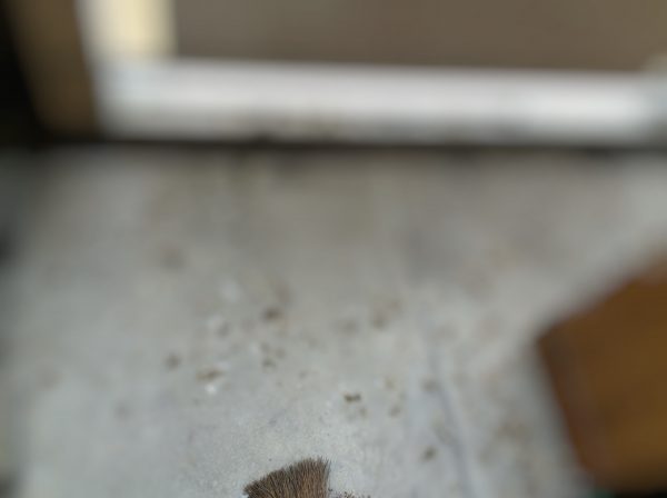 img_7173_fotor%e5%8f%96%e3%82%8a