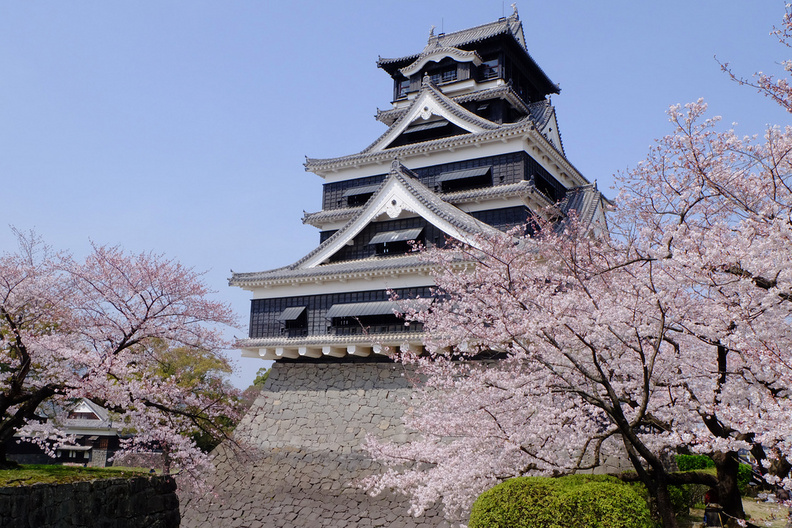 熊本市内のオススメお花見スポット12選 | 肥後ジャーナル - 熊本の今を