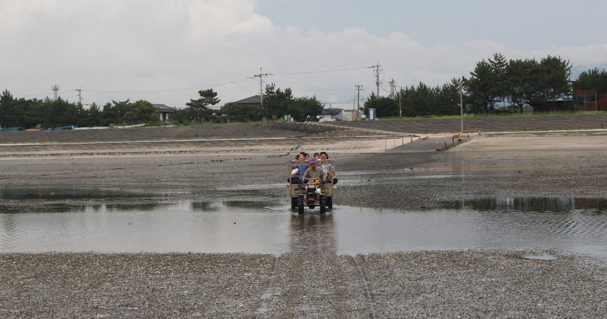 荷台に乗せられ干潟を進む謎体験 8月10日にオープンする「荒尾干潟水鳥
