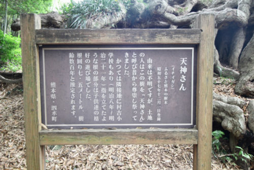 いちいがし案内看板