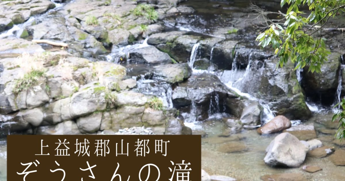 滝石【水盤付 上州勝山作】 【公式通販】