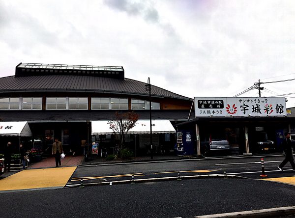 img_5459-%e3%82%b3%e3%83%94%e3%83%bc