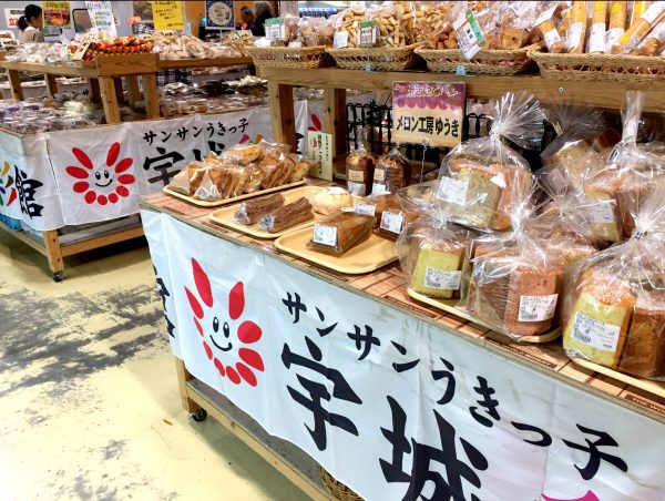 img_5448-%e3%82%b3%e3%83%94%e3%83%bc