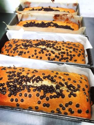 15726574_1192584540824182_8058938281751477128_n