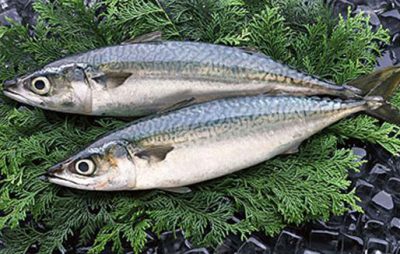 熊本復興映画祭