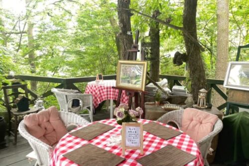 【南阿蘇村】まるで絵本の世界！森と溶け合える癒しのひとときが過ごせる素敵なカフェ・ギャラリー「緑の小箱」