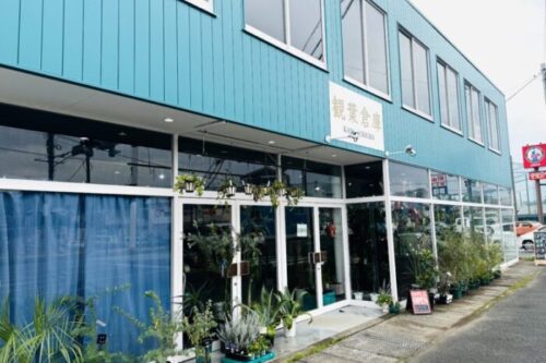 【熊本市北区】オープン情報！！五差路に登場。緑が溢れたガラス張りの店舗の中は癒しの空間～観葉倉庫～