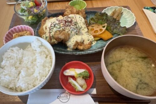 【阿蘇郡西原村】本場宮崎のふわふわチキン南蛮が絶品！平日はご飯おかわり無料！心遣いに癒される「おうちかふぇOhana(おはな)」