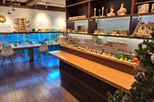 【熊本市南区】12月新規オープン！子どもだけじゃなく家族みんなで楽しめる！木のおもちゃ専門店【モコモコの木】