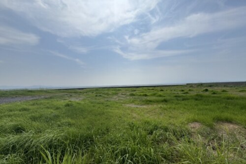 【西区河内】いまは何もない原っぱだけど。2027年春～夏にワンダーランドができるてよ！